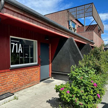 Sentrumsvegen - Private Studio Apartment In Gol Eksteriør billede